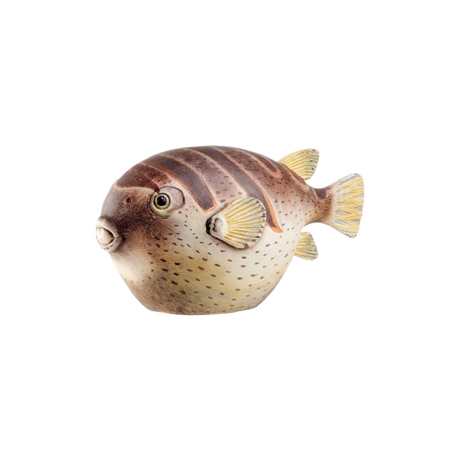 Pesce palla Colomesus